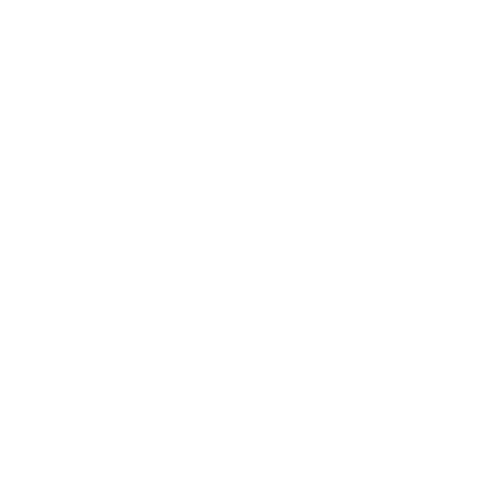 RSE Post Production House logo